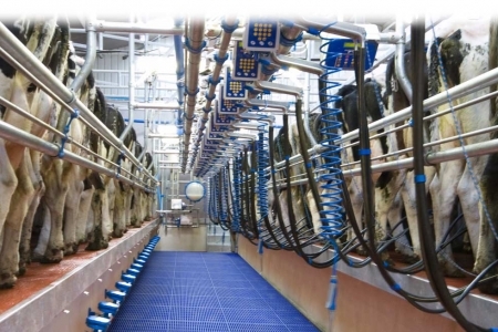 AF Maintenance Ltd Herringbone milking parlours