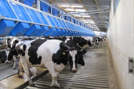 AF Maintenance Ltd Milk Parlours